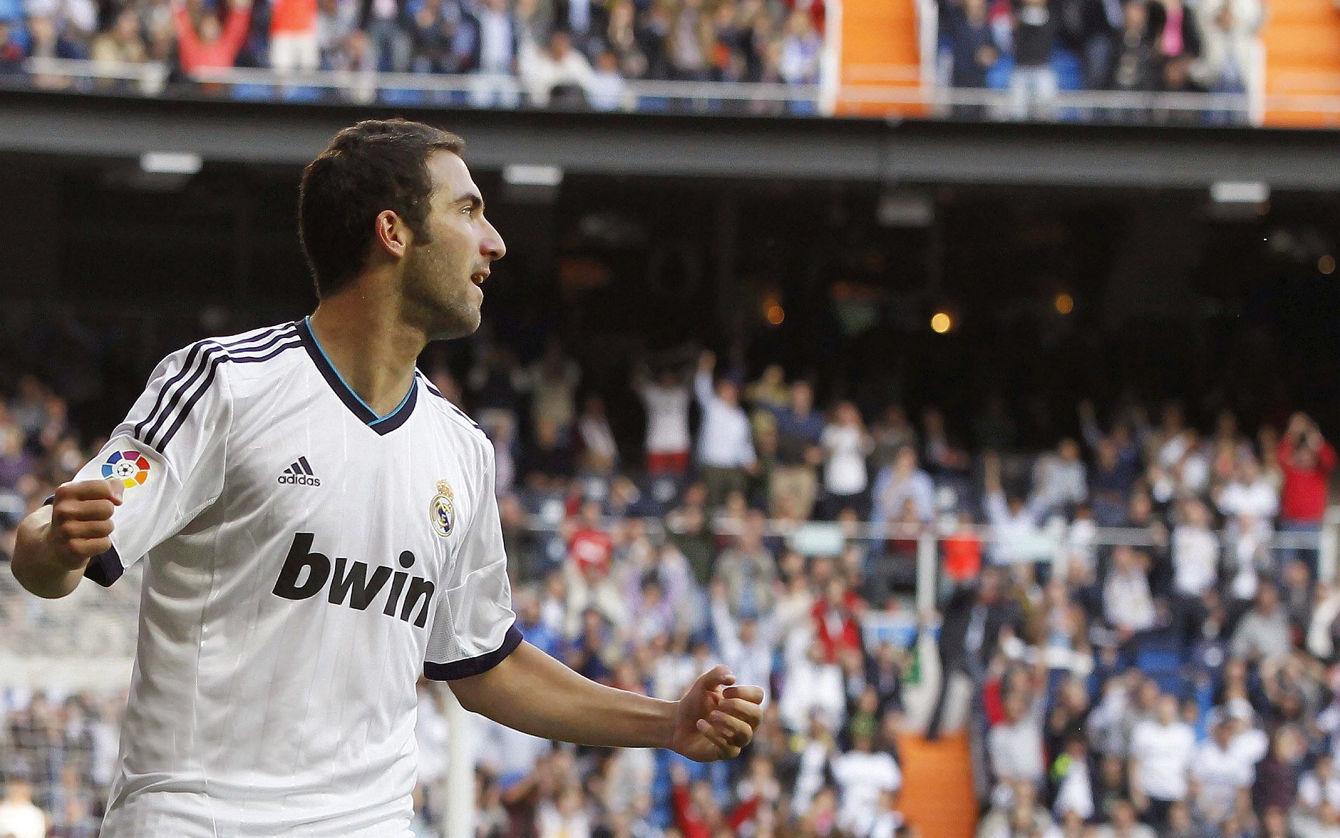 未来足球:场馆配备智能空气净化与节能系统,绿色科技引领行业